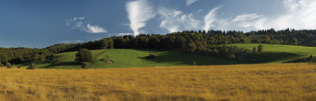 JL Kokel©CRT Limousin